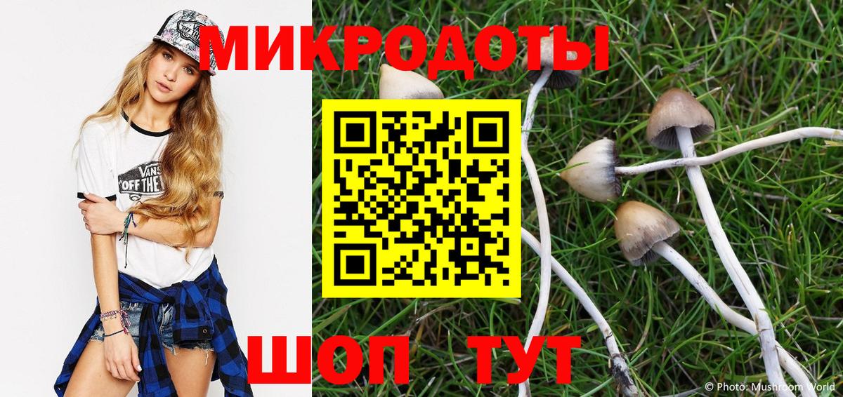 Галлюциногенные грибы мицелий Псков