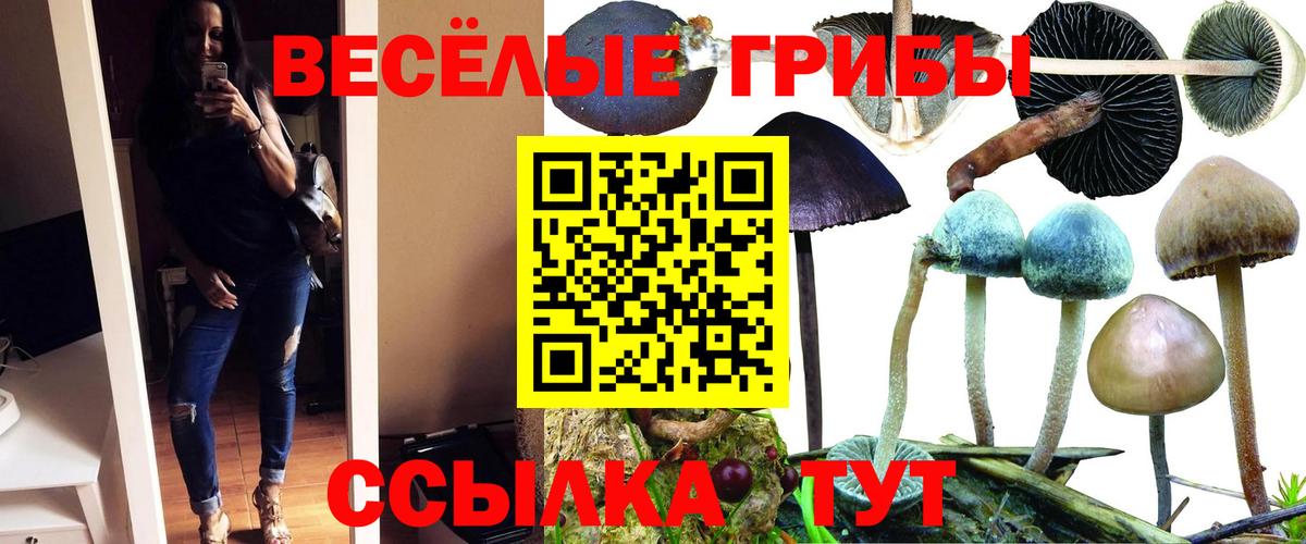 Псков  Галлюциногенные грибы GOLDEN TEACHER  Вход с VPN 
